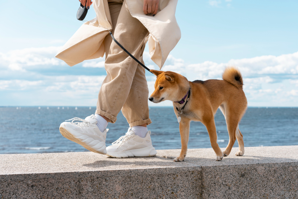 side-view-owner-walking-with-dog